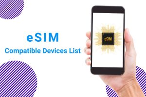 Russia eSIM compatible device list